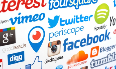 do 300 high da live social profiles for your business