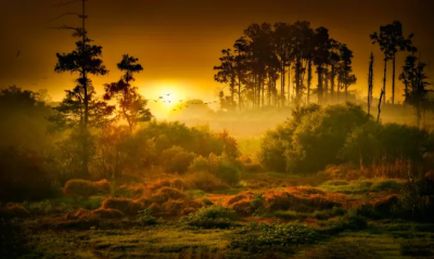 compose original relaxing and piano music for you